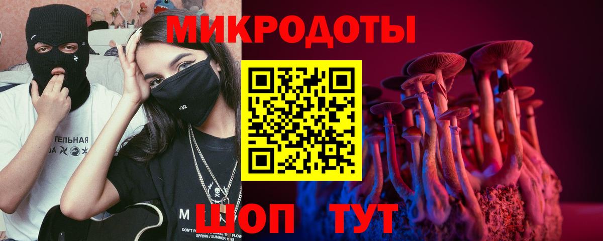Псилоцибиновые грибы MAGIC MUSHROOMS  Вход с VPN  купить наркотики сайты  Междуреченск 