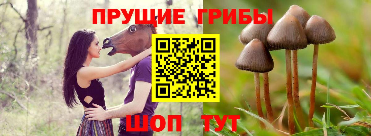Псилоцибиновые грибы Magic Shrooms Междуреченск